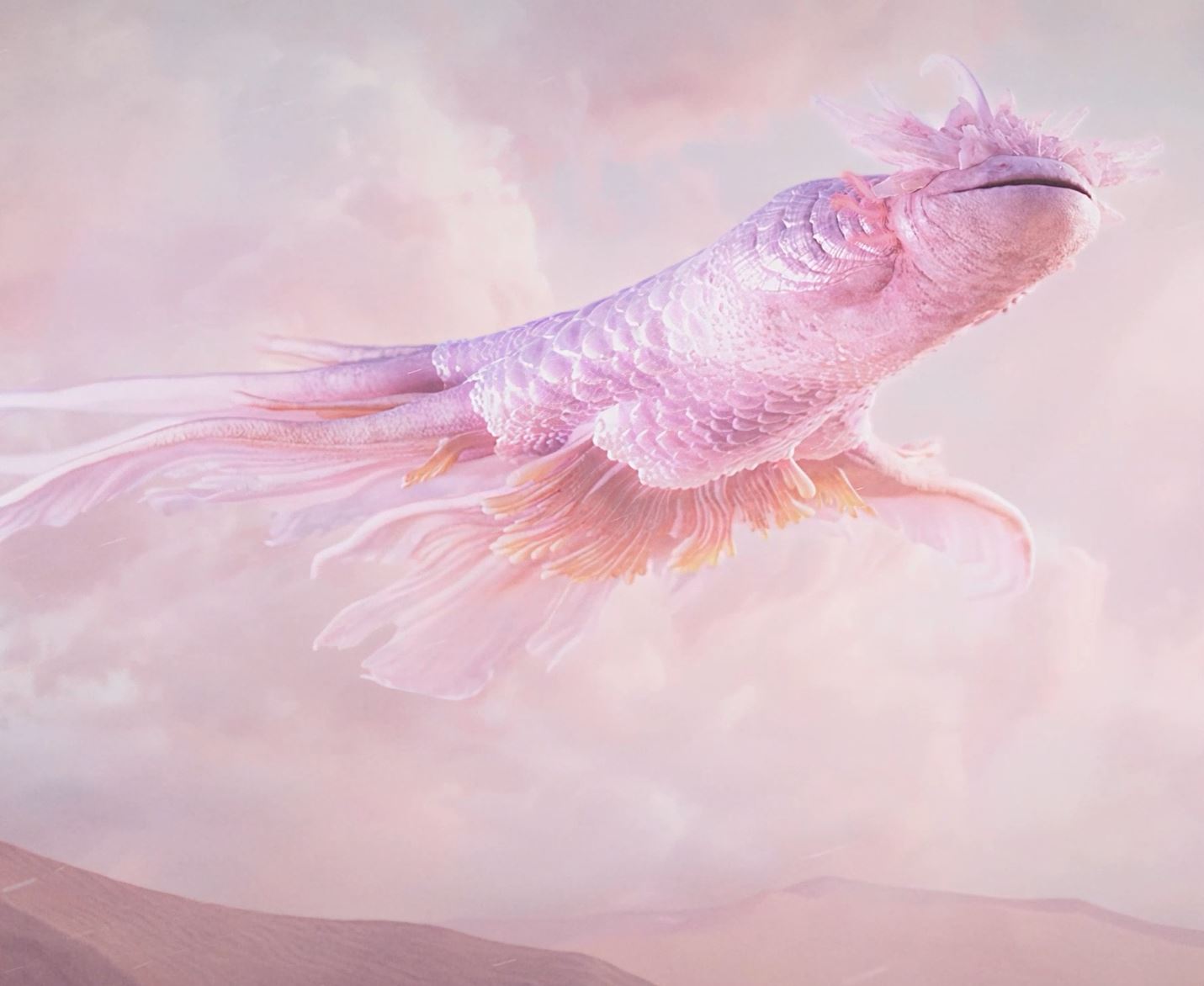 森田悠揮作品salamander1